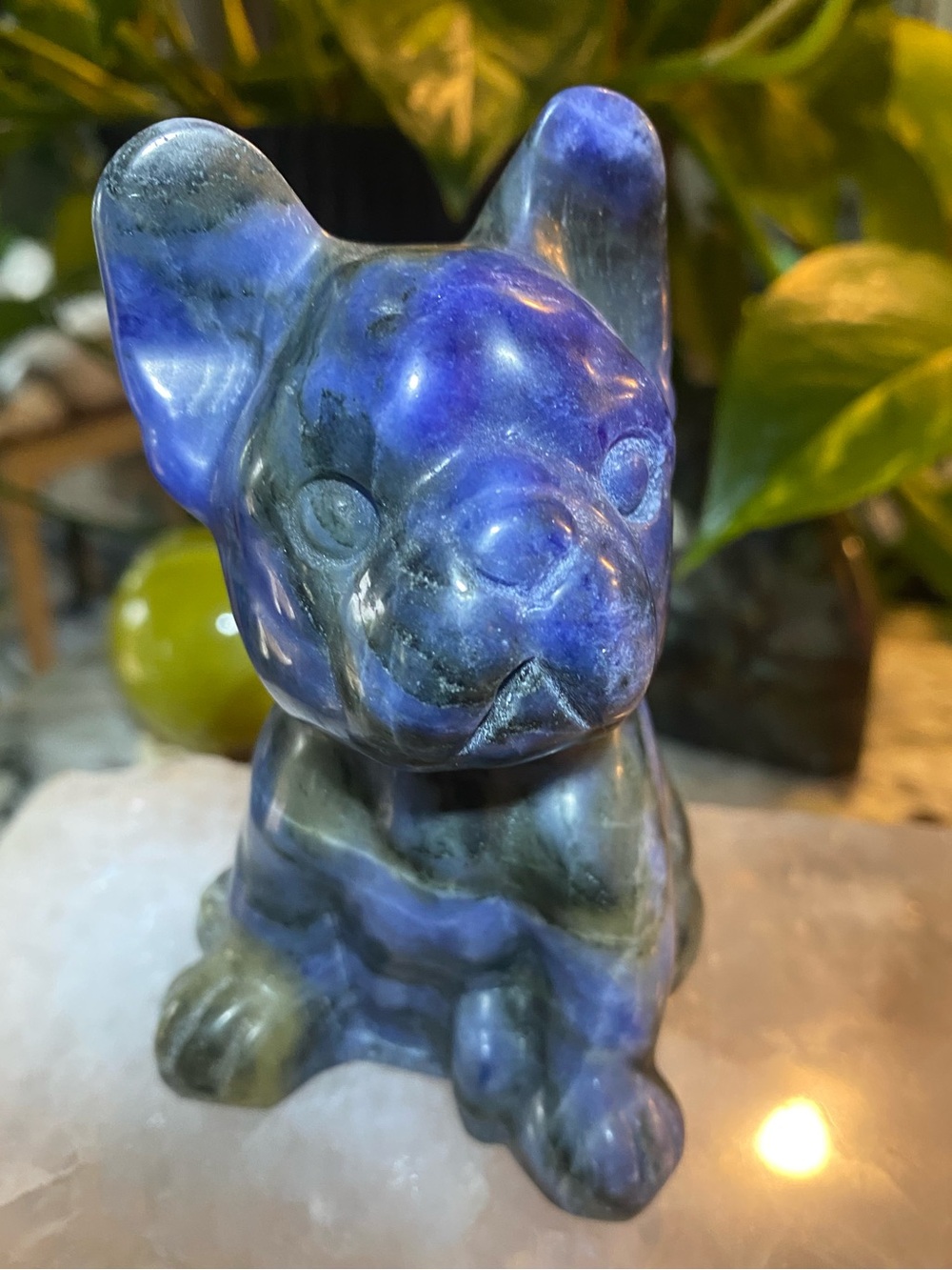 Hackmanite Stone Bulldog Figurine